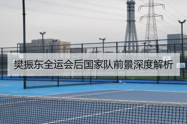 樊振东全运会后国家队前景深度解析 | www.hth.com